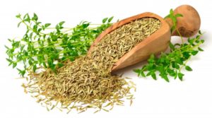 pile of thyme 